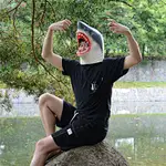 head mask